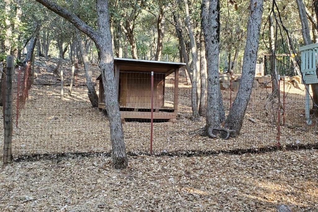 Pine Hills Cabin In Julian Eksteriør billede